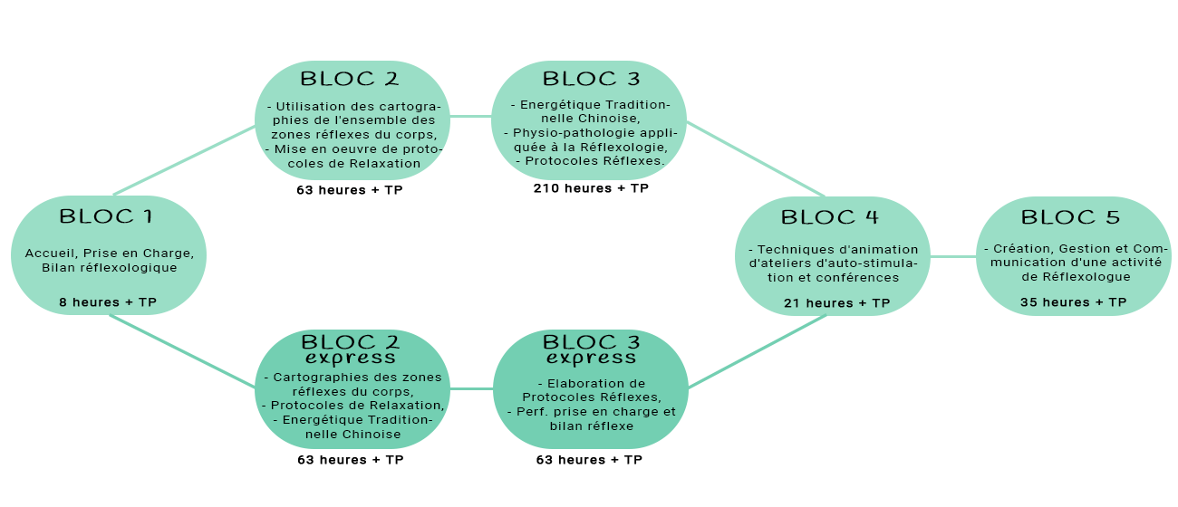 Le métier de Réflexologue en 5 blocs de compétences Parcours de formation en 5 blocs de compétences